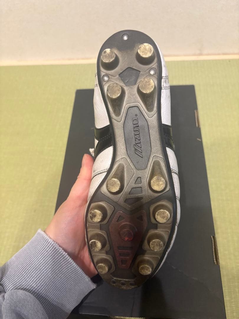 Mizuno モレリアスパイク　ザムストインソール　シューズケース　23.5cm