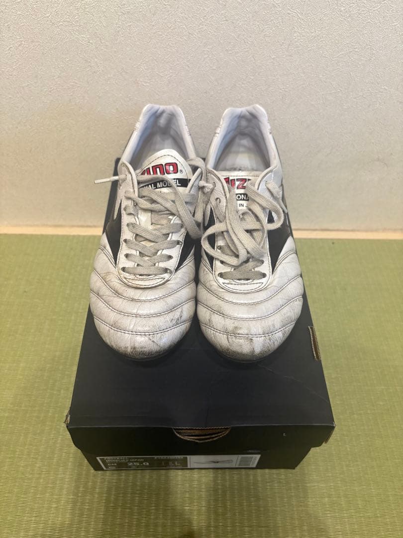 Mizuno モレリアスパイク　ザムストインソール　シューズケース　23.5cm