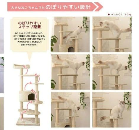 Mau　キャットタワー リッチエッグ