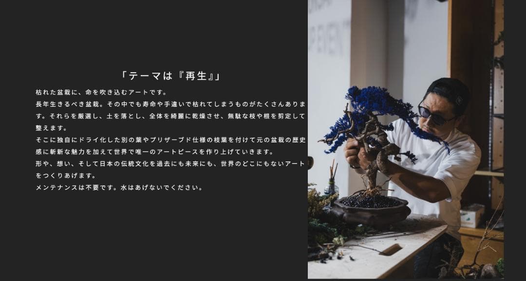 【激レア】RE BONSAI 九谷焼 RE盆栽 青【Man 岩本照愛用】