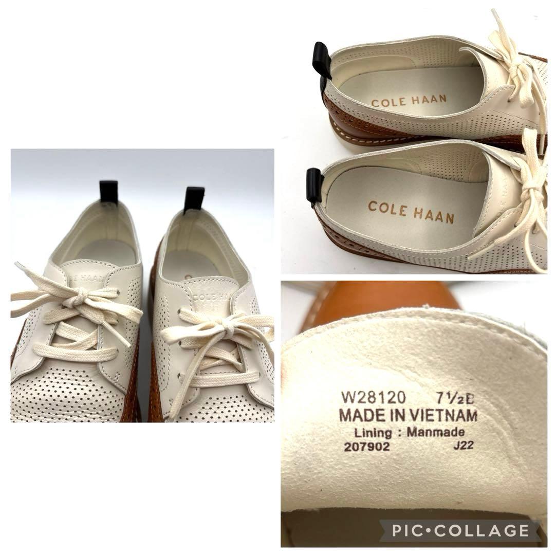 コールハーン　オックスフォード　革靴　ウイングチップ　パンチング　24.5