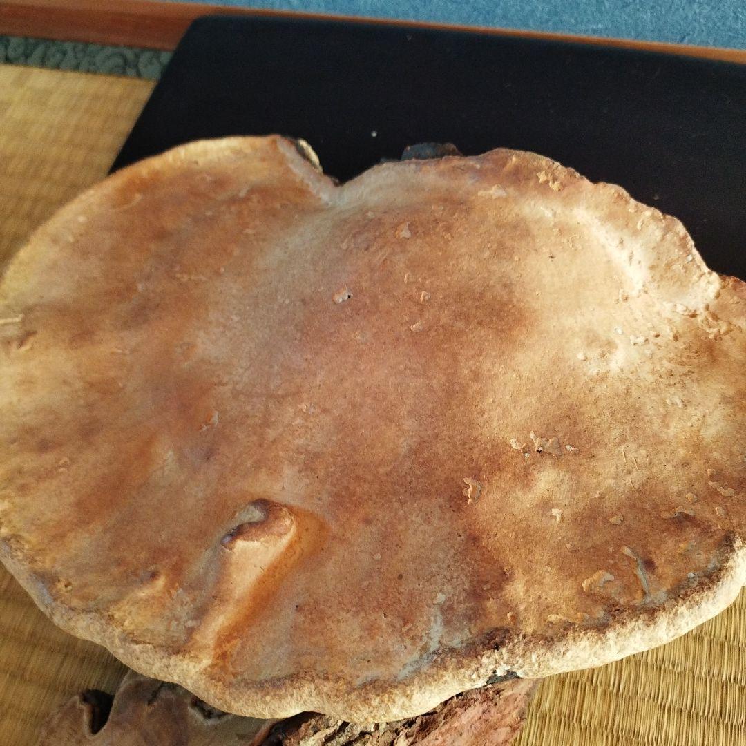 木製アートオブジェクト 置物猿のこしかけ 特大