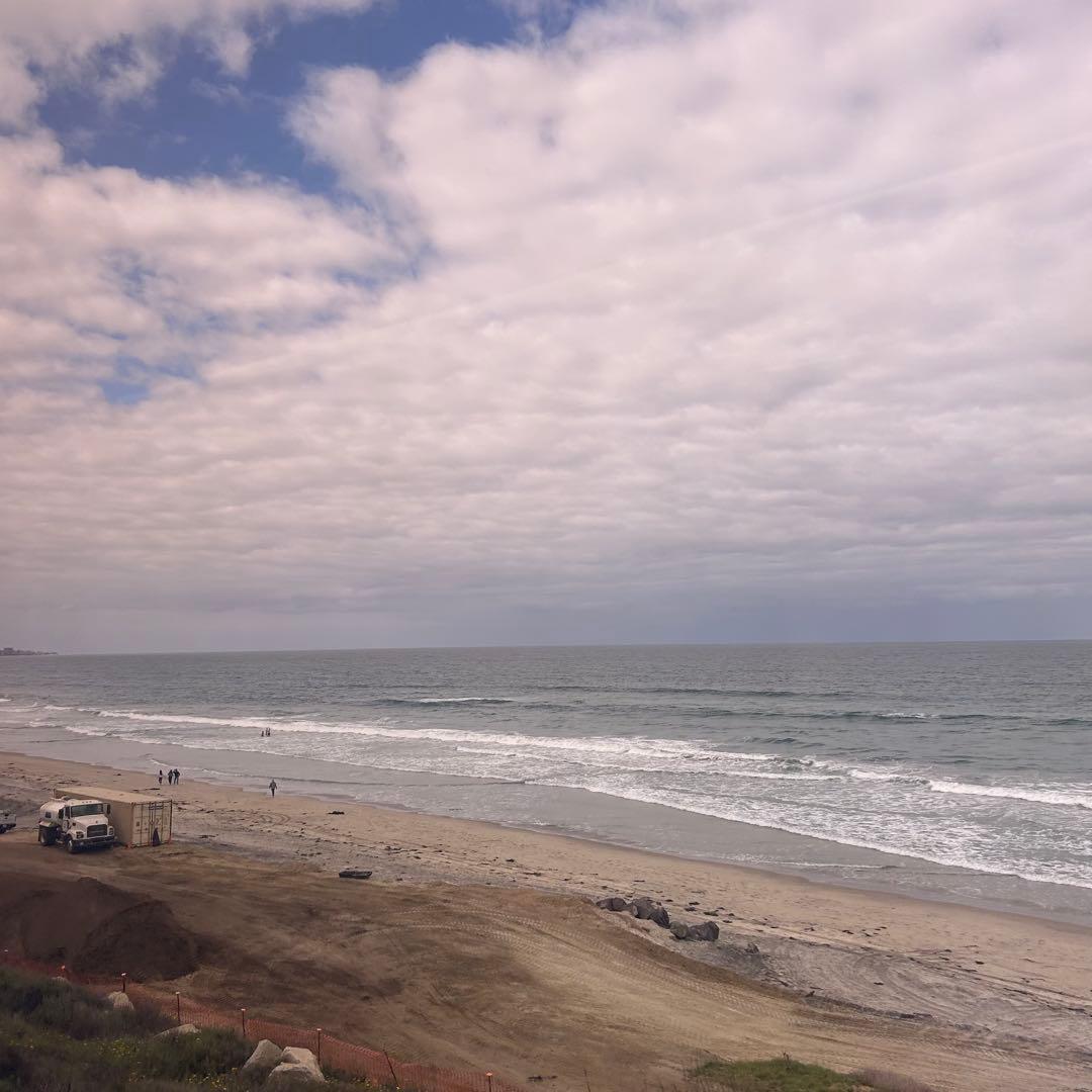 アレブリヘ 魚 メキシコの伝統工芸品