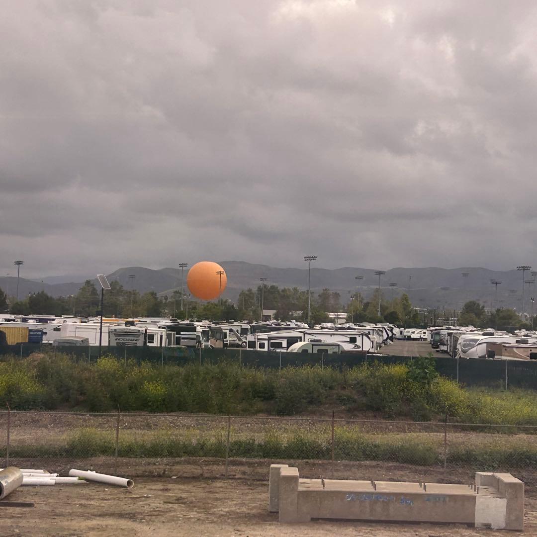 アレブリヘ 魚 メキシコの伝統工芸品