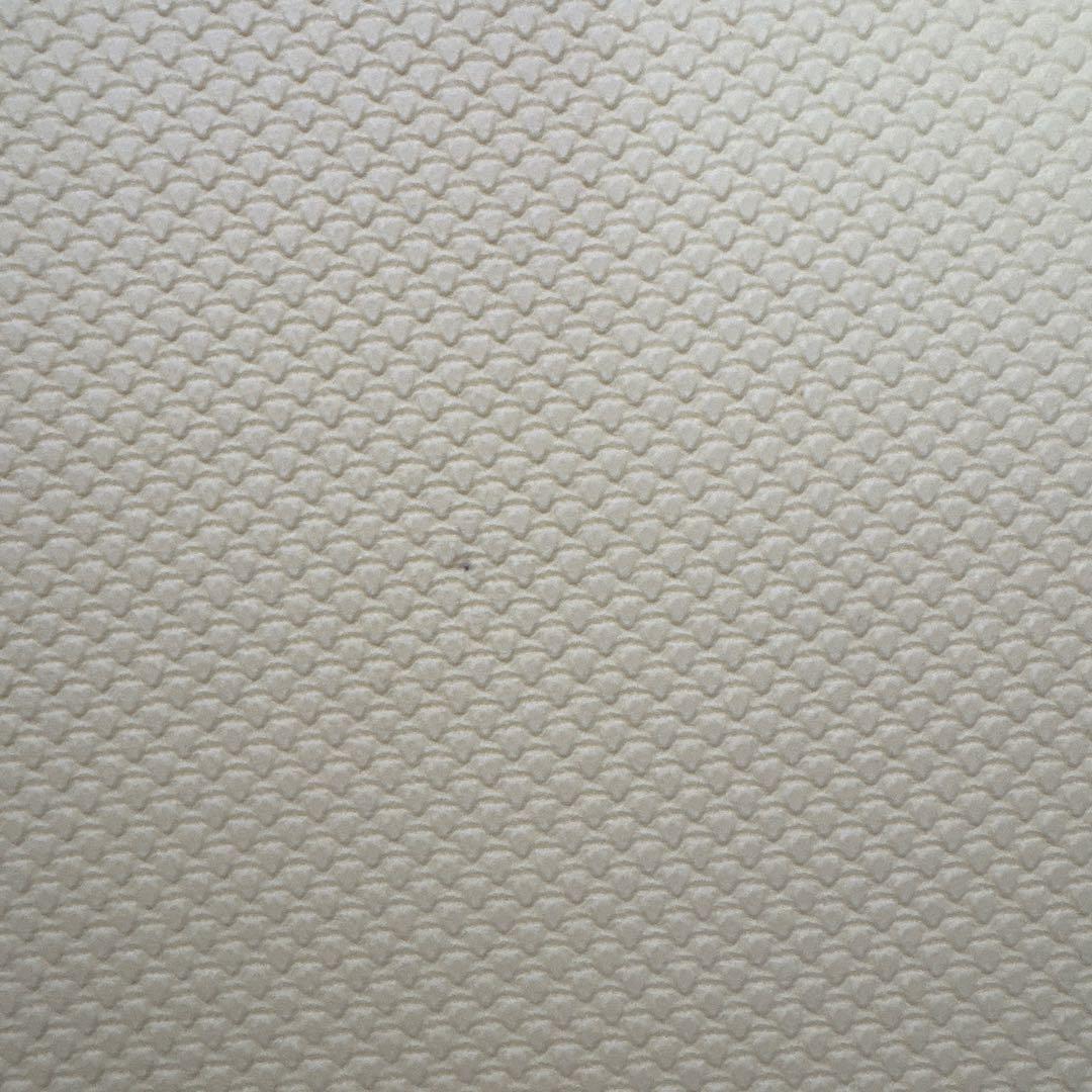 SUKALA リバーシブルヨガマット4mm レモンライム×アクア ケース付