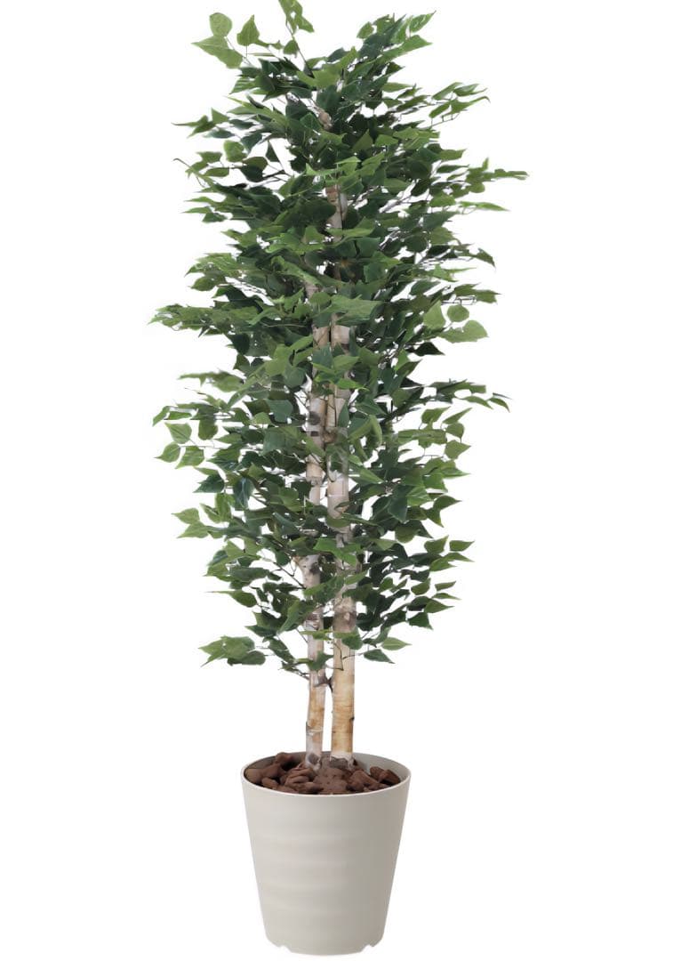 光触媒　人工観葉植物　ウォールグリーン　フェイクグリーン　白樺