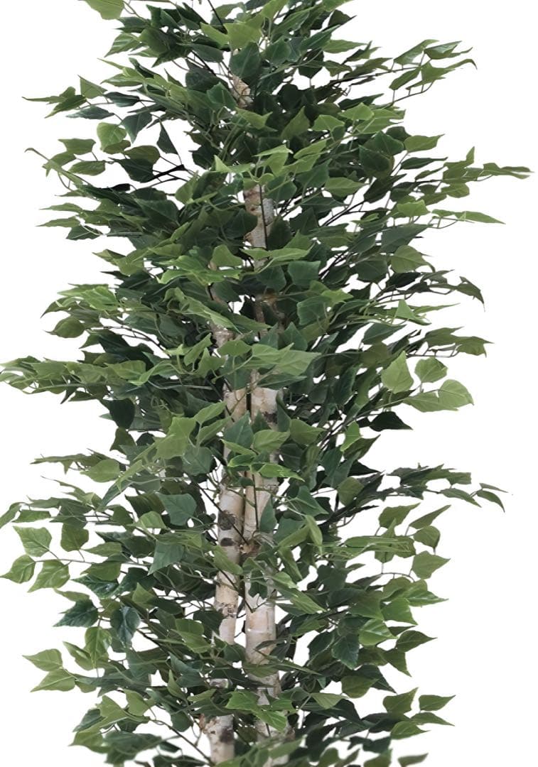 光触媒　人工観葉植物　ウォールグリーン　フェイクグリーン　白樺