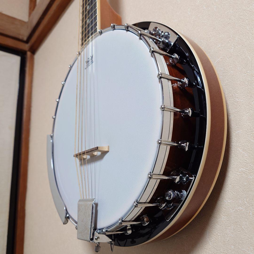 ARIA ギターバンジョー SB-10G