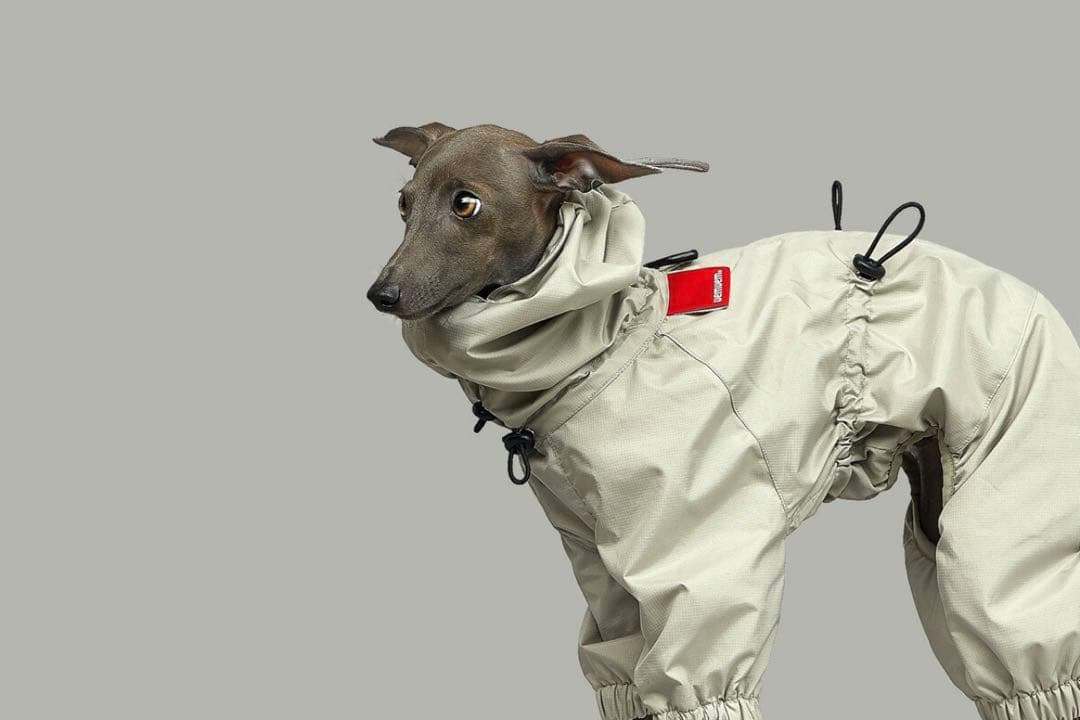 vemvem｜Gravity Super Breaker｜S