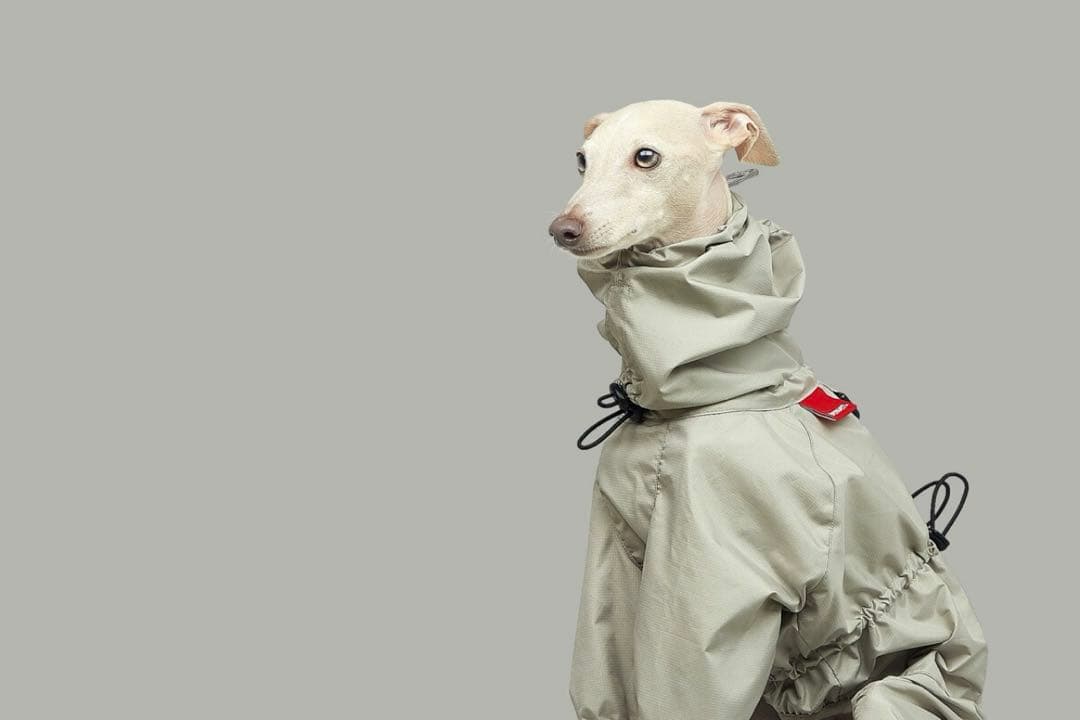 vemvem｜Gravity Super Breaker｜S