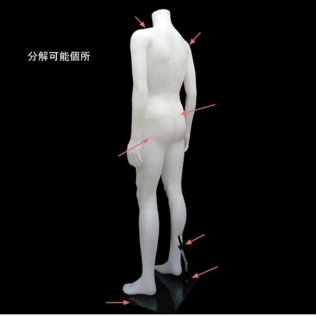メンズ ヘッドレスマネキン 白1 男性 軽量 マッチョボディー 水洗い可