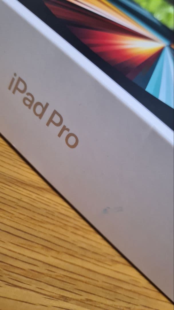 iPad Pro (第5世代) Apple Pencil付き 256GB 美品