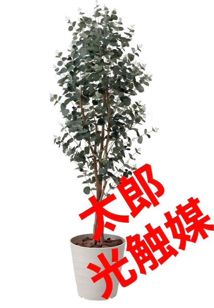 光触媒　人工観葉植物　ウォールグリーン　フェイクグリーン　ユーカリ1.6m