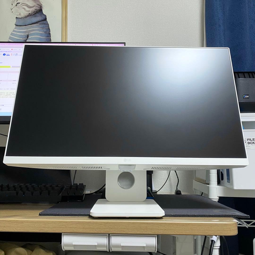 LG MyView Smart Monitor 25SR50F-W 2024年製