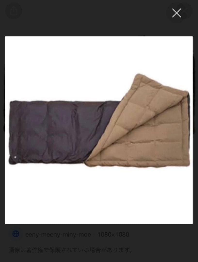 テルスガイザー