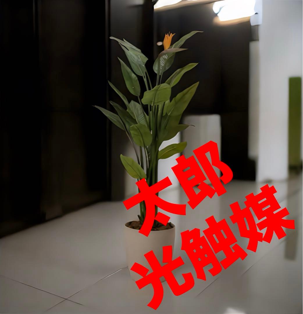 光触媒　人工観葉植物　ウォールグリーン　フェイクグリーン　ストレチア花付き1.5