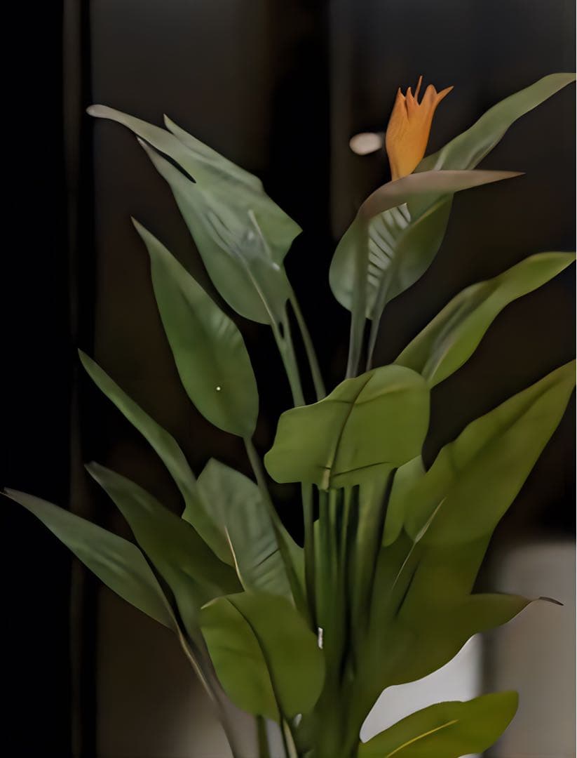 光触媒　人工観葉植物　ウォールグリーン　フェイクグリーン　ストレチア花付き1.5