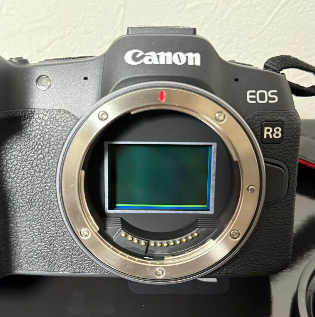 キヤノン Canon EOS R8 ミラーレス一眼カメラ　美品