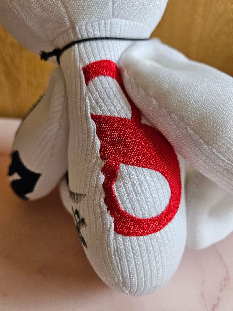 【レア】中日ドラゴンズ　ユニフォーム　リサイクルベア　大島洋平　直筆サイン入り