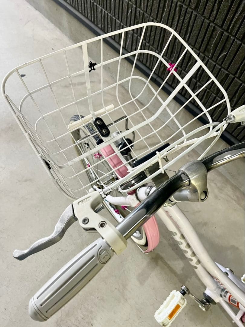 ブリヂストンサイクル　ジュニア向け自転車「ワイルドベリー」　20インチ