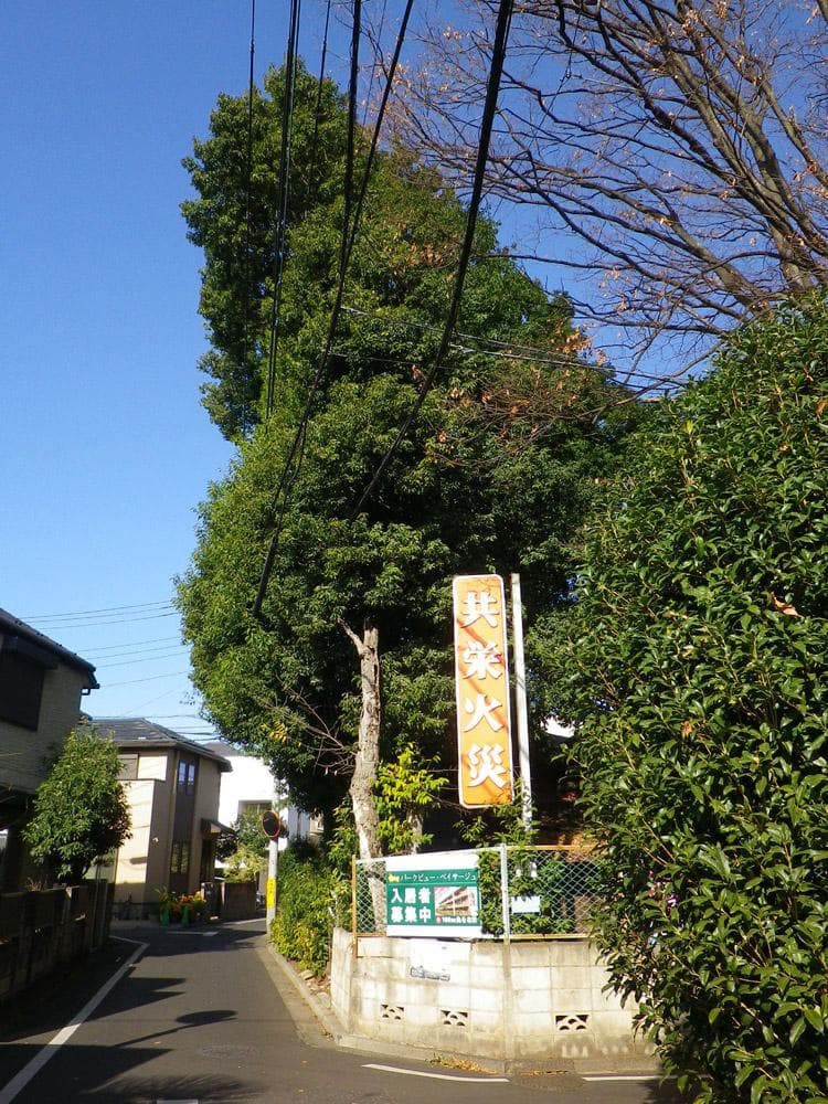 ペンタックス Optio RZ10 ホワイト コンパクトデジタルカメラ 元箱付き