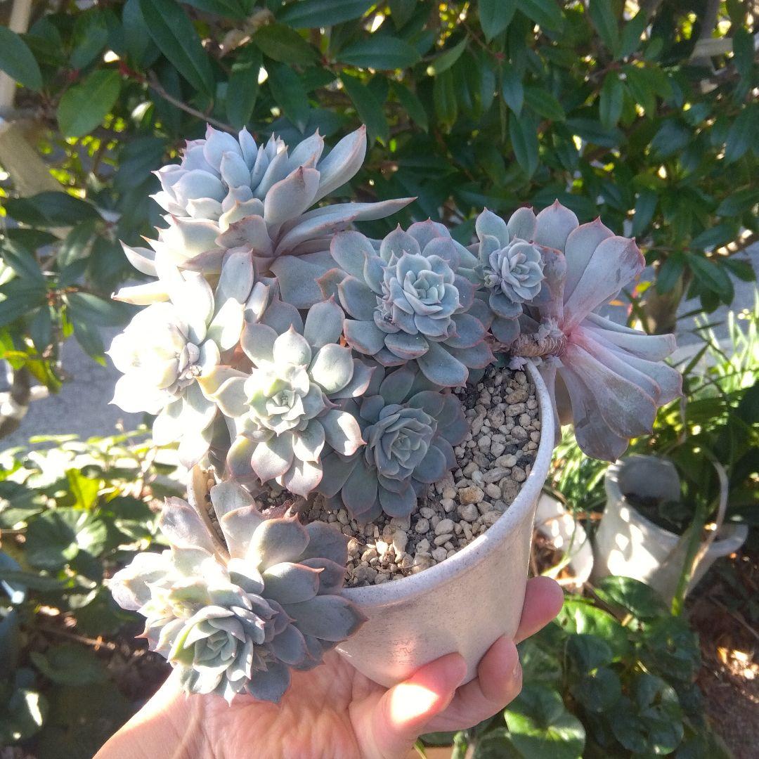 アサ様 リクエスト 5点 まとめ商品