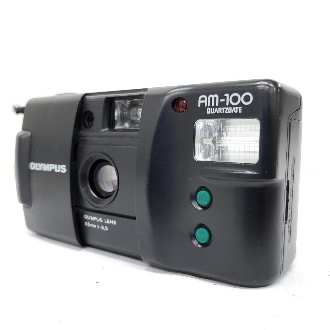 【動作確認済】 Olympus AM-100 F0116-333-11v p