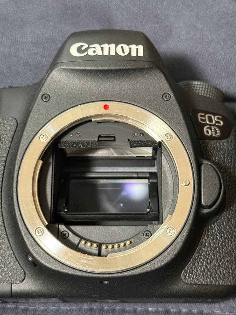 Canon EOS 6D EF24-105mm F4L ズームレンズセット