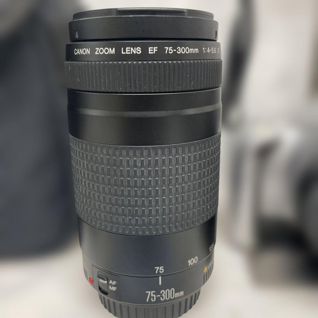 Canon EOS Kiss5 カメラ Speedlite 420EX ストロボ