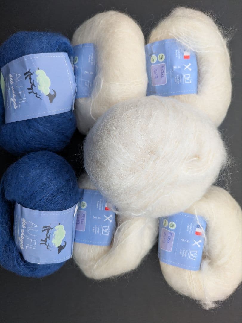 パリジェンヌの編みもの　 食器模様のロピ風セーター 毛糸／書籍セット