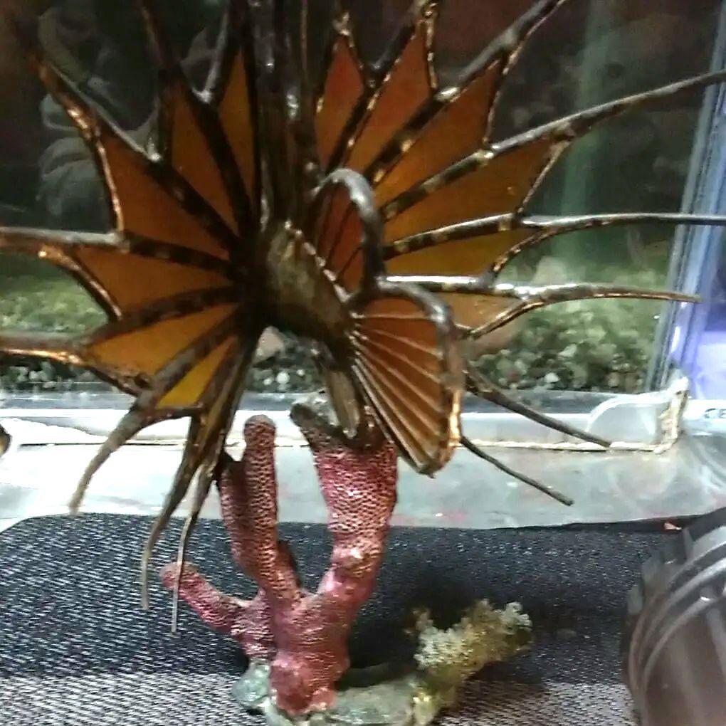 ステンドグラス（ミノカサゴ置物❄プロフ必読