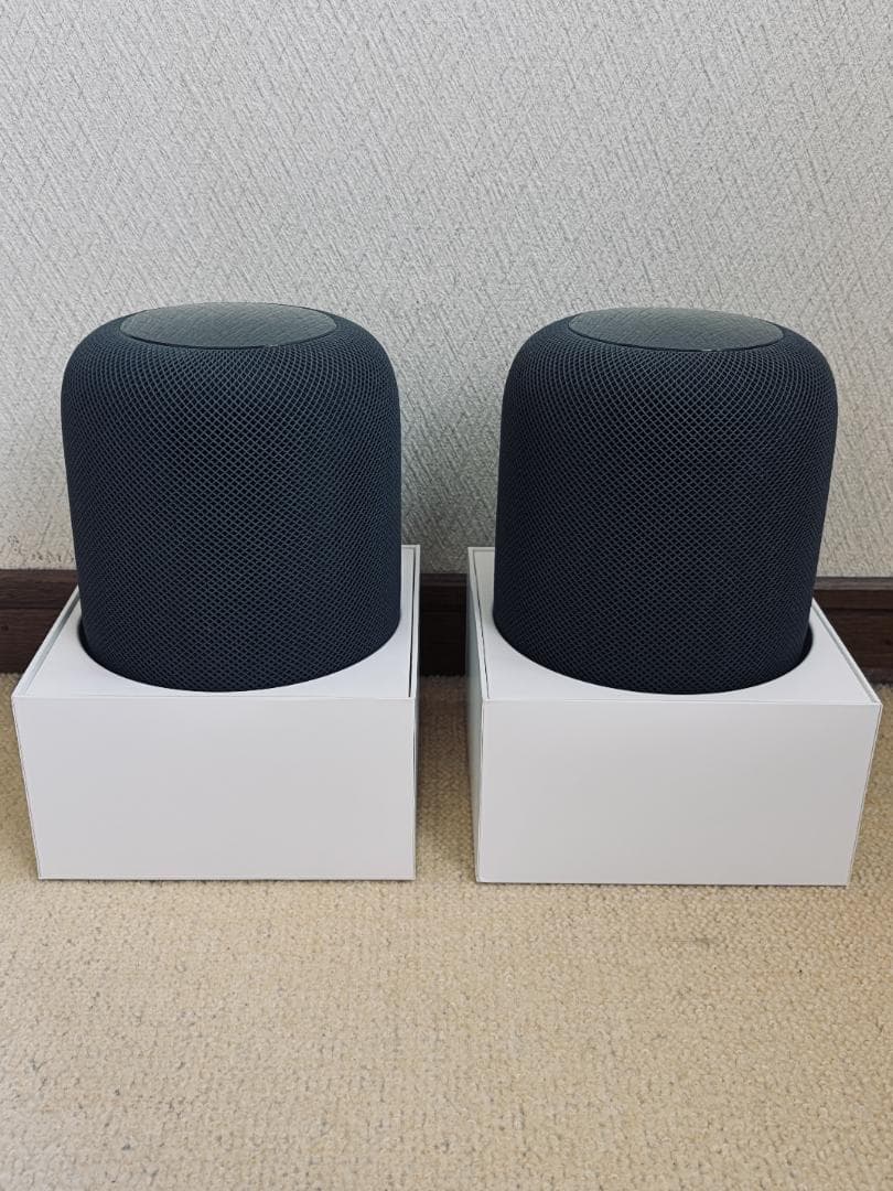 Apple Pod（第一世代）2台セット