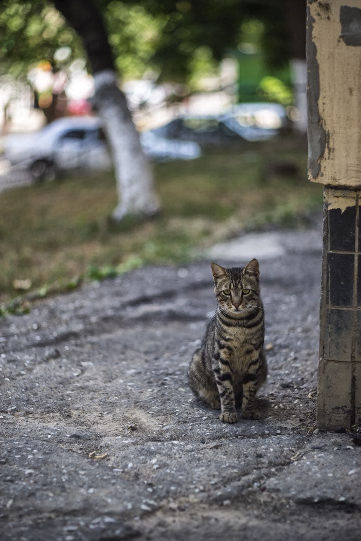 LOMO Helios-92 92mm f2 オールドレンズ 単焦点 2