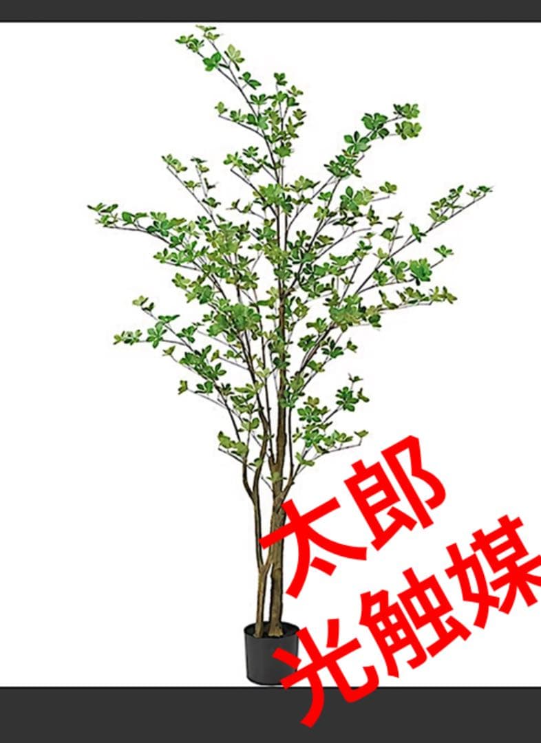 光触媒　人工観葉植物　ウォールグリーン　フェイクグリーン　ドウダン190