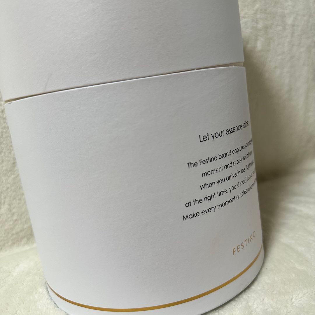 FESTINO フェイシャル モイスト ナノスチーマー