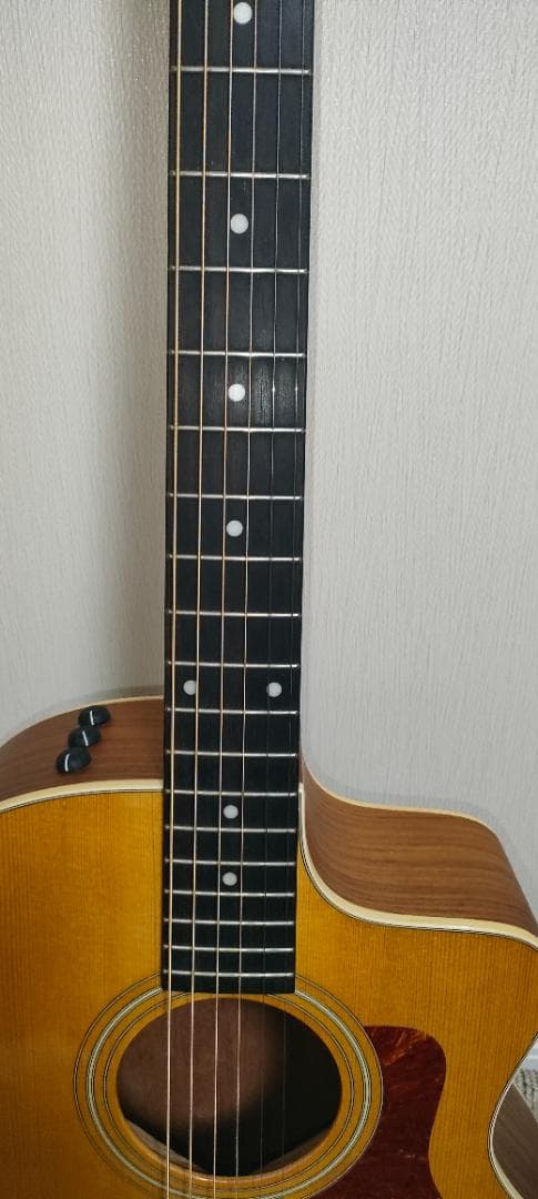 Taylor 214ce エレアコ アコースティックギター 純正ケース付き