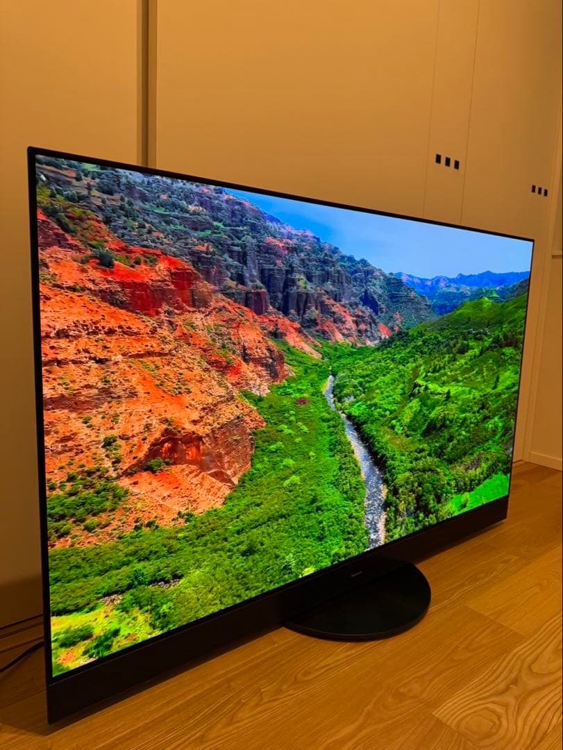 【ダイケイ様】Panasonic 2024年製 65型 TV-65Z95A