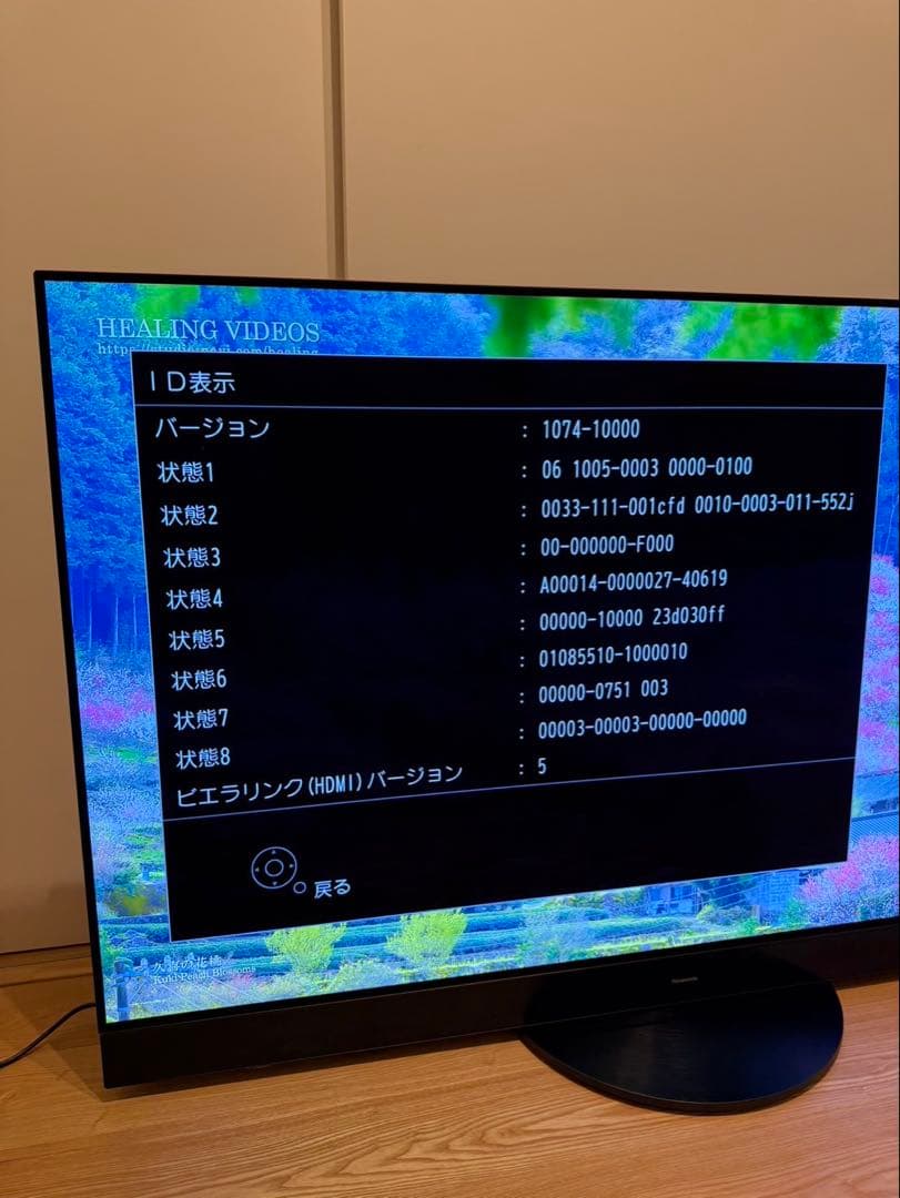 【ダイケイ様】Panasonic 2024年製 65型 TV-65Z95A
