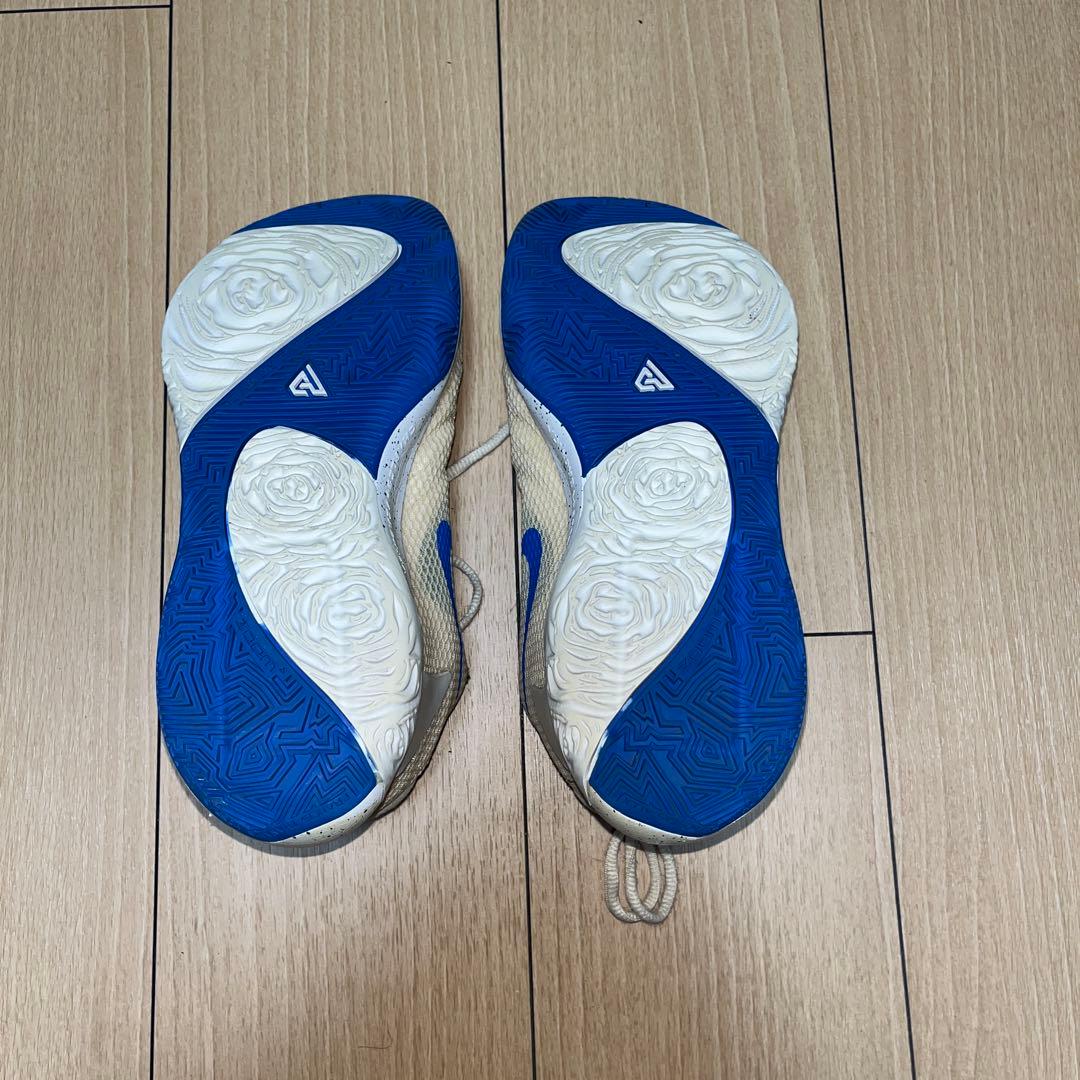 Nike zoom freak1 26cm バッシュ