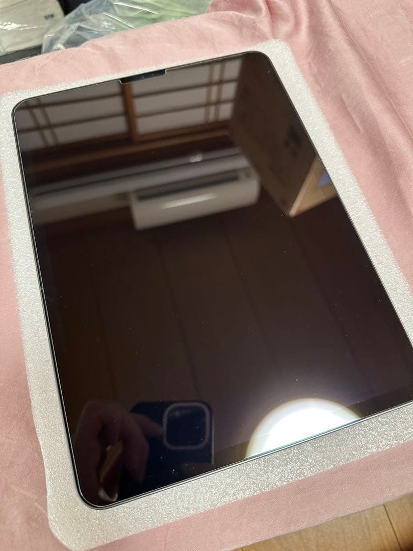 iPadPro(第2世代)11インチ 256GB +おまけ