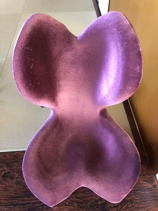 緊急処分！！美品！！骨盤矯正。姿勢矯正補正、在宅勤務、激安出品