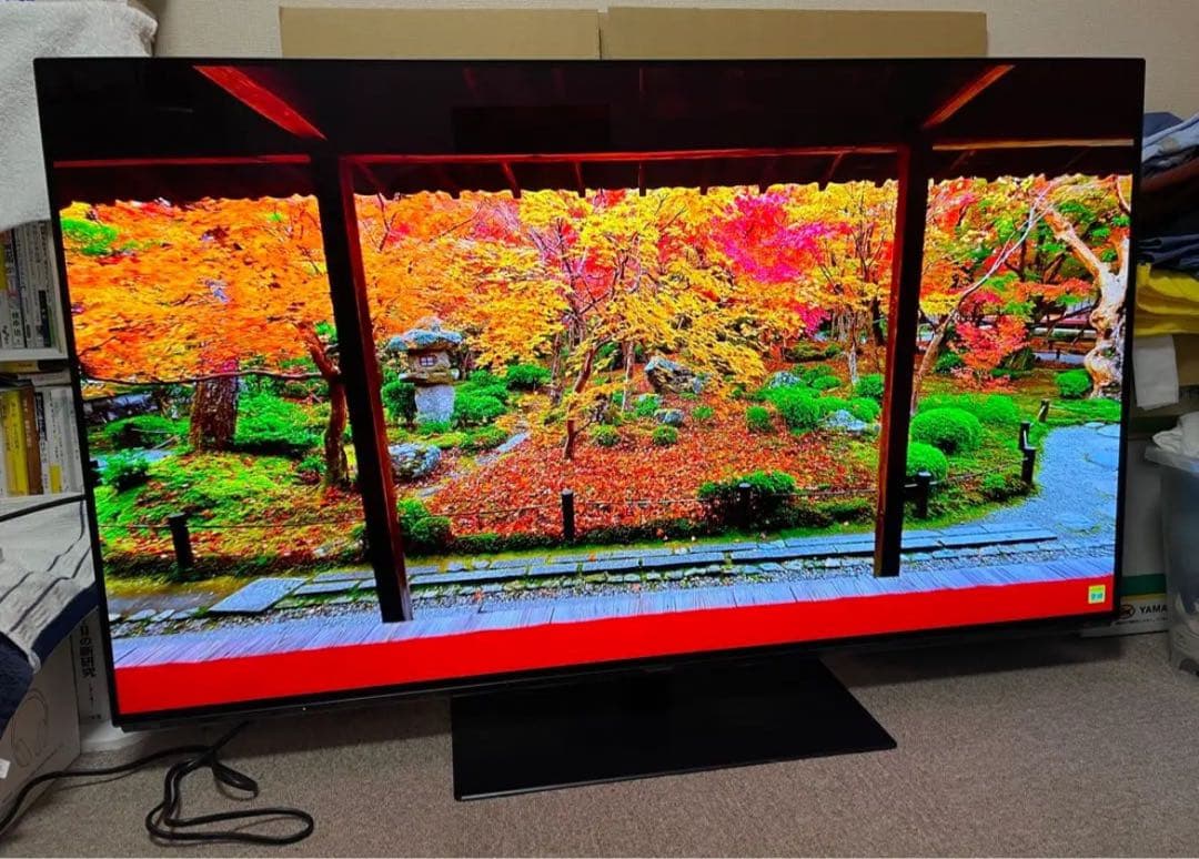 【新品パネル】55型有機ELテレビ/Panasonic/TH-55FZ950