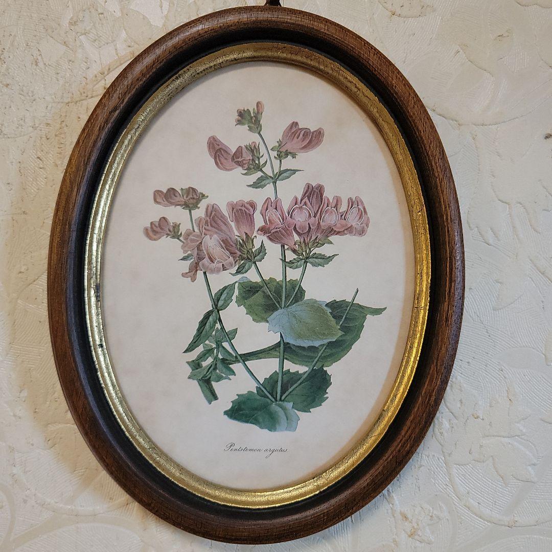 くれは様用です！！　ヴィンテージ　イタリア製　ボタニカルアート　2つ