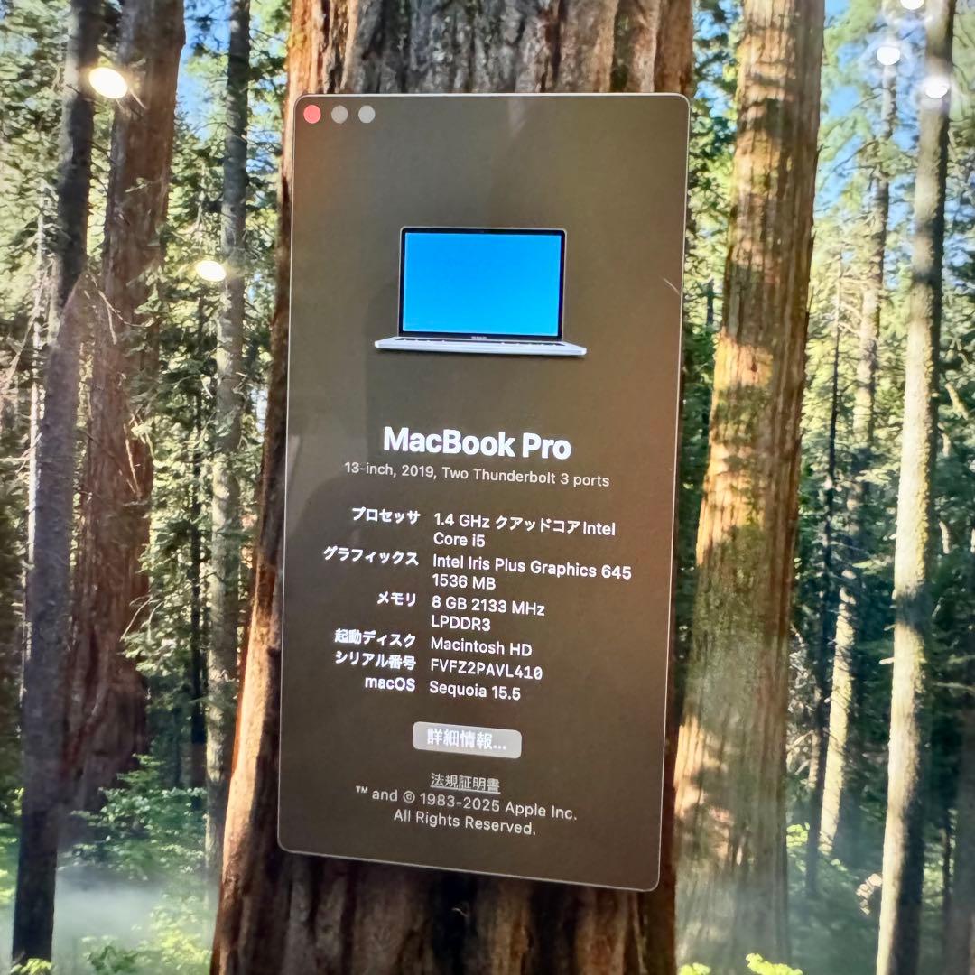 Apple MacBookPro 13インチ 256GB 2019 美品