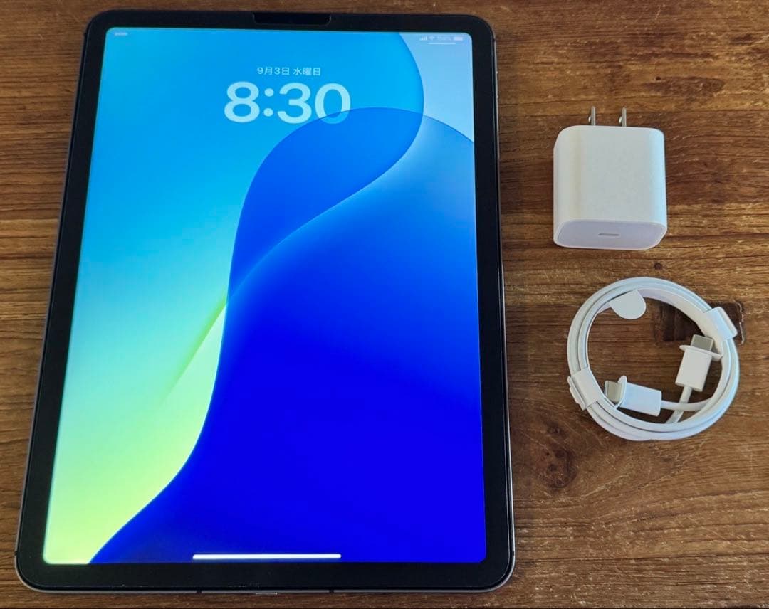 iPad Air セルラーモデル 256GB SIMフリー PEN付き