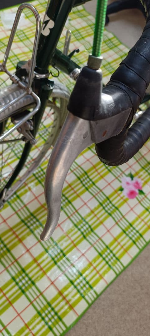 ブリヂストン ユーラシア ツーリング ランドナー 550㎜ 魔物カスタム