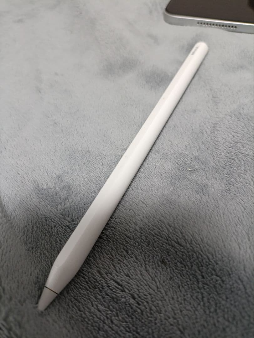 SIMフリー Apple iPadPro 11インチ 64GB 2018年