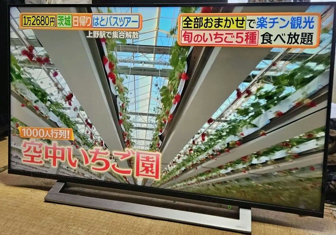 TOSHIBA REGZA43インチ43M530X 2019年製