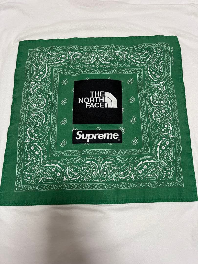 早い者勝ち　Supreme×THE NORTH FACEコラボ