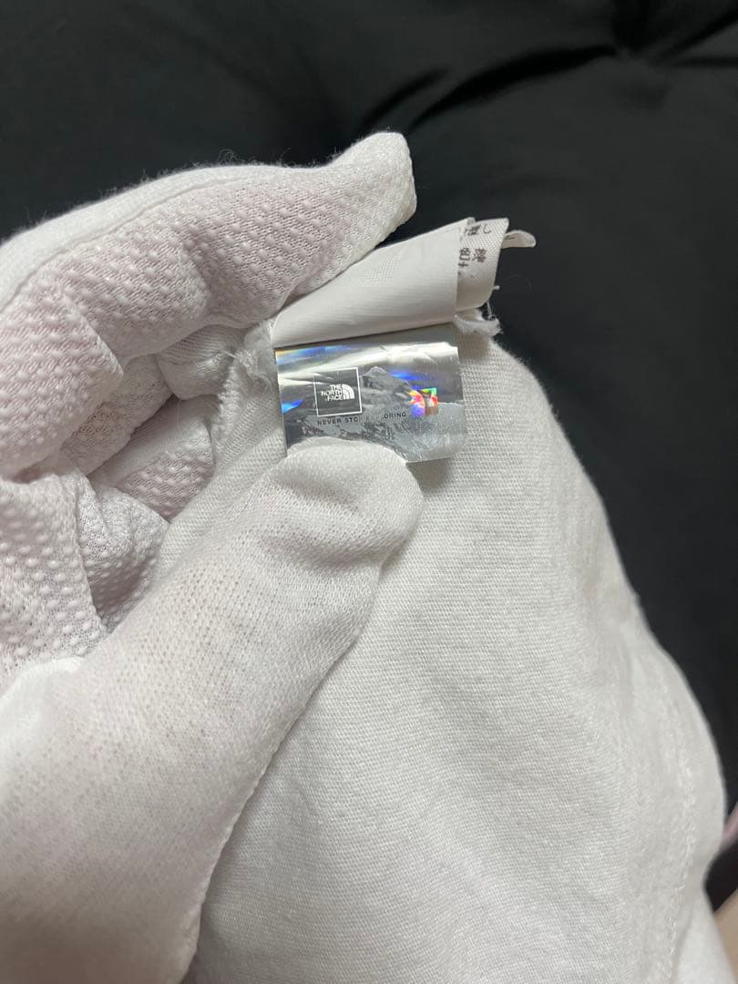 早い者勝ち　Supreme×THE NORTH FACEコラボ